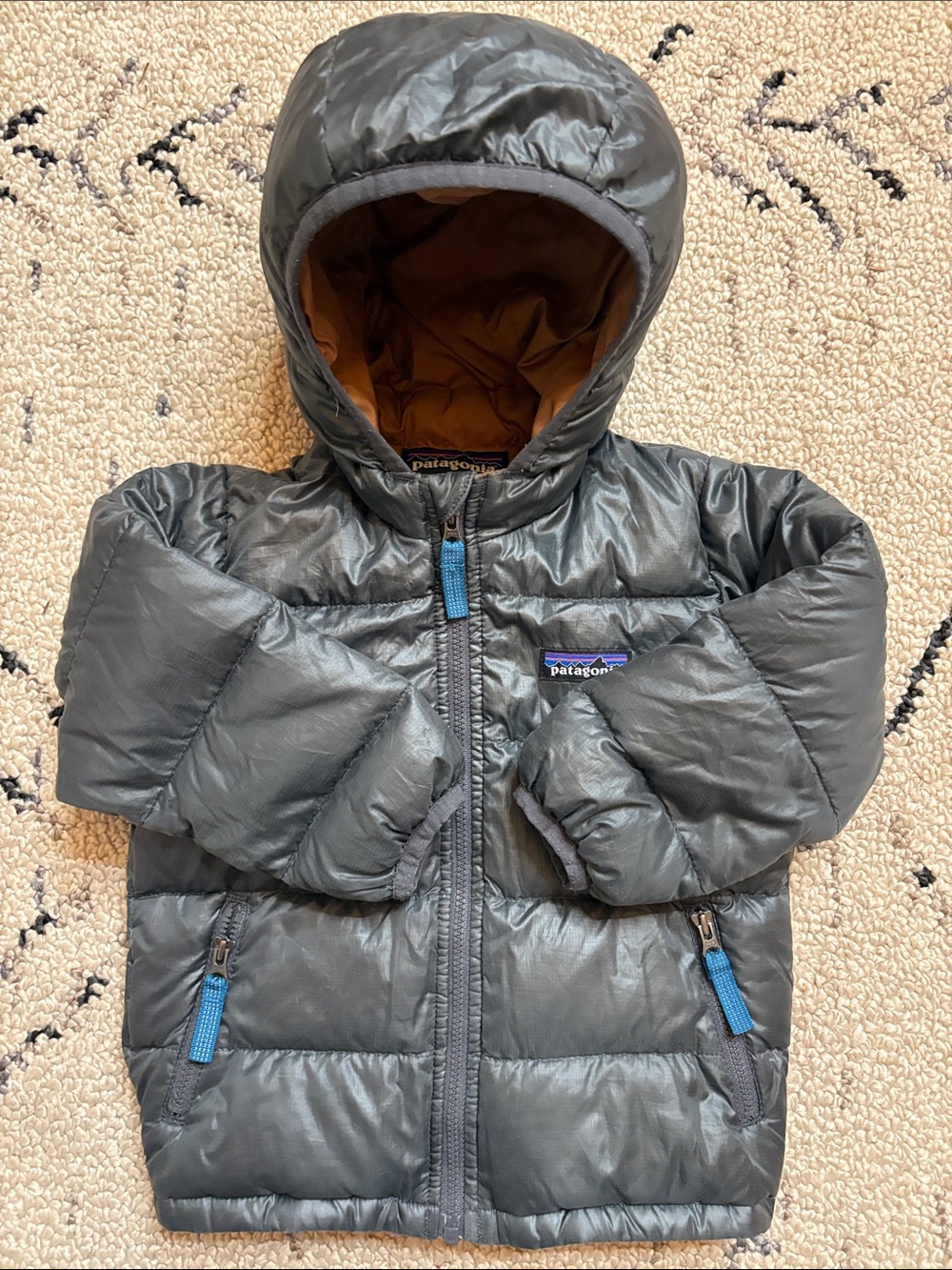 Patagonia KidsHooded Puffer Jacket (2t)